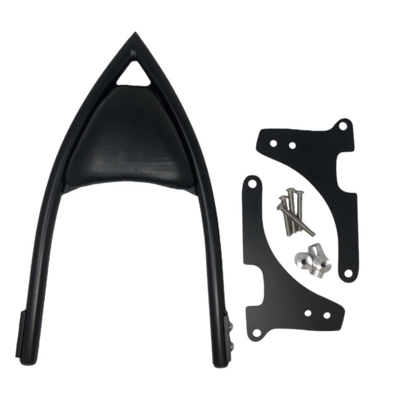 Zwarte Sissybar Arch Harley-Davidson Sportster 2014+ Highway Hawk