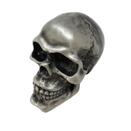 Skull ornament oud zilver Highway Hawk