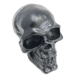 Skull ornament zwart Highway Hawk