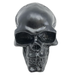 Skull ornament zwart Highway Hawk
