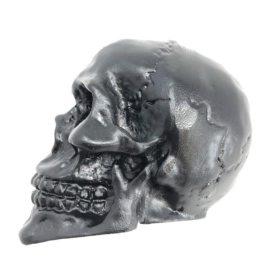 Skull ornament zwart Highway Hawk