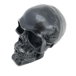 Skull ornament zwart Highway Hawk