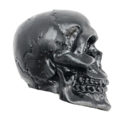 Skull ornament zwart Highway Hawk