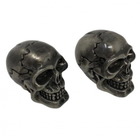 Ventieldoppen "Skull old metaal look" 2 stuks voor Motorfiets en Auto