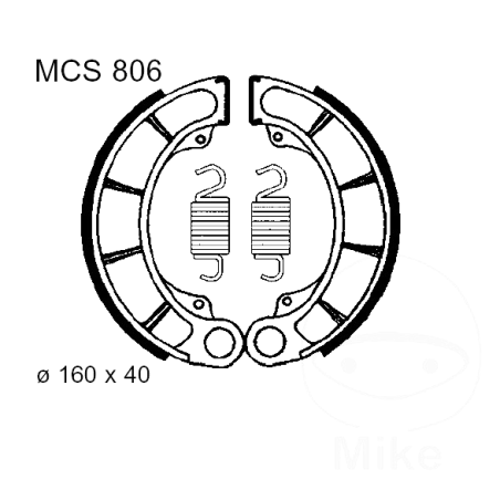 Remschoenen TRW MCS806  inclusief veren