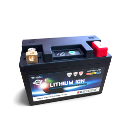 Motor accu Skyrich HJP14BL-FP Lithium 12V met BMS