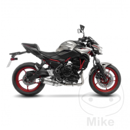 LV-One uitlaat Kawasaki 650 LeoVince SBK RVS