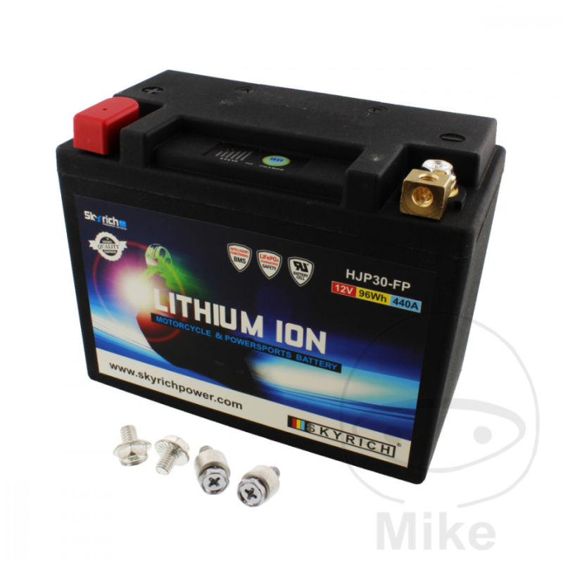 Motor accu Skyrich HJP30-FP Lithium 12V met BMS