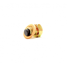 Magnetische Aftapplug M12x1.50 | Beschermt Motor tegen Slijtage