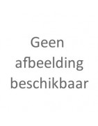 Carburateur en Toebehoren